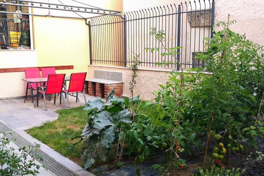 テッサロニキCozy House With Garden In The Old Townアパートメント エクステリア 写真